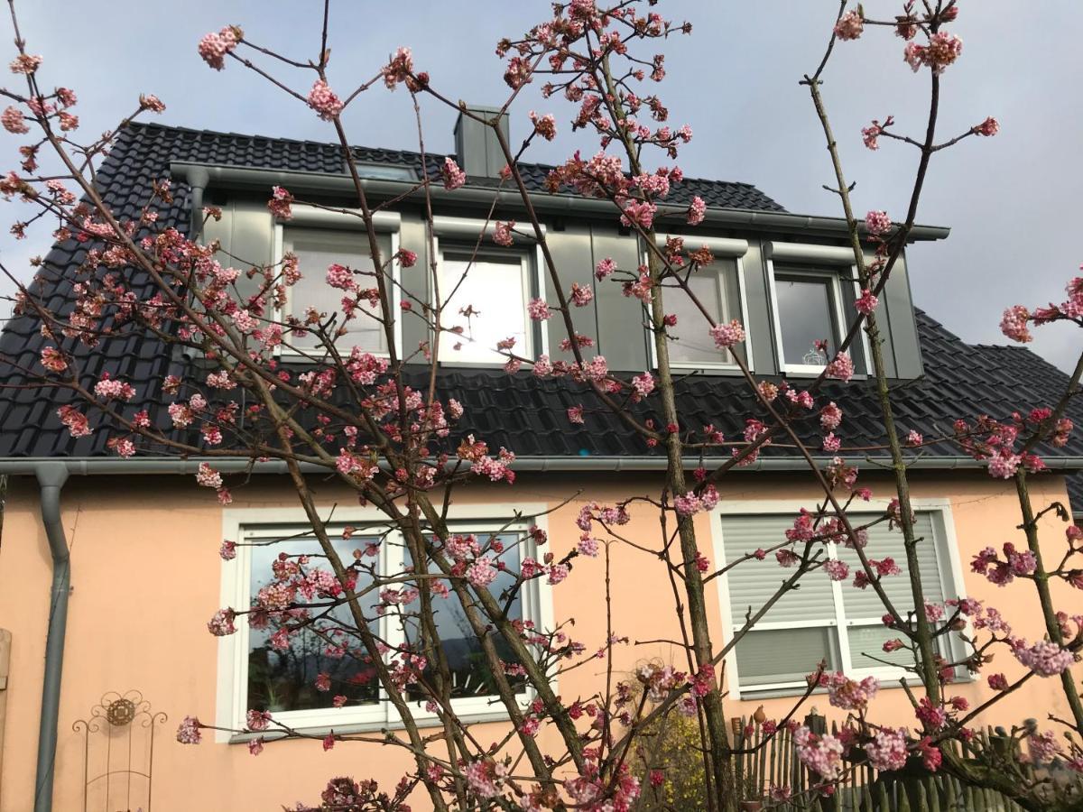 Kleine Auszeit Mit Aussicht Velbert Toenisheide Apartment Exterior photo
